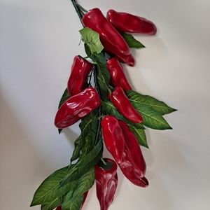 Jalapeño Chile Red
